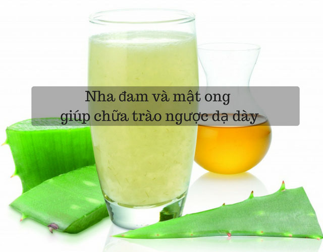 Lô hội mật ong chữa bệnh trào ngược dạ dày